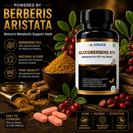 Anjix Berberine HCL 97% Glucoberbine | Blood sugar & Metabolism Support– 500 mg